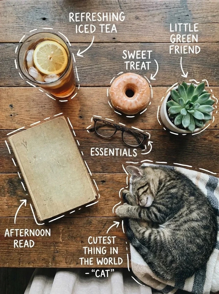 Nano Banana AI prompt example: Cozy tea and cat flat lay